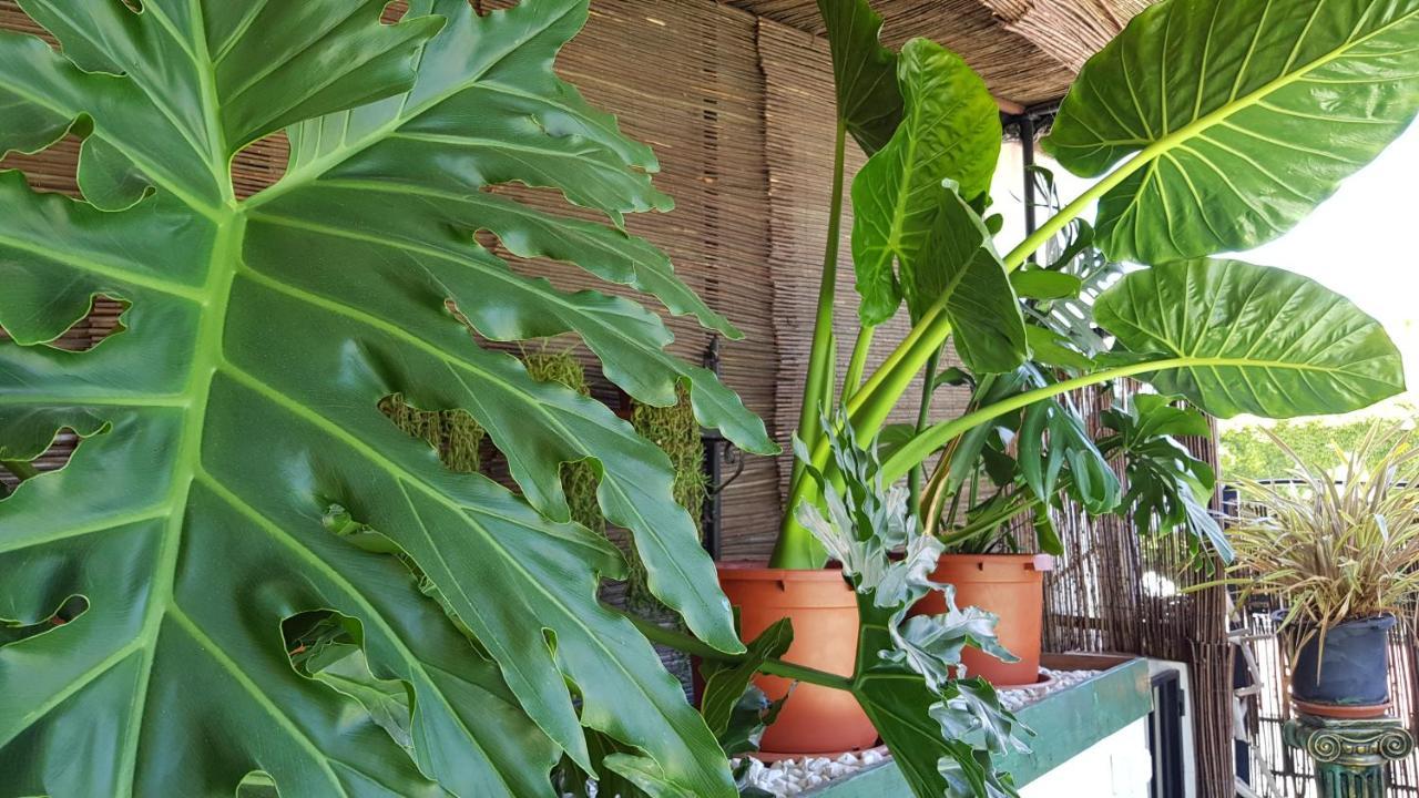 Posada Alpujarra Sol Orgiva Zewnętrze zdjęcie
